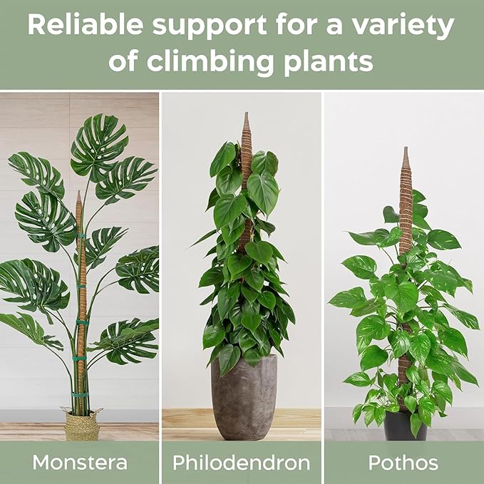 4 Pack 48'' Bendable Moss Pole Monstera Plant Support - Image 6