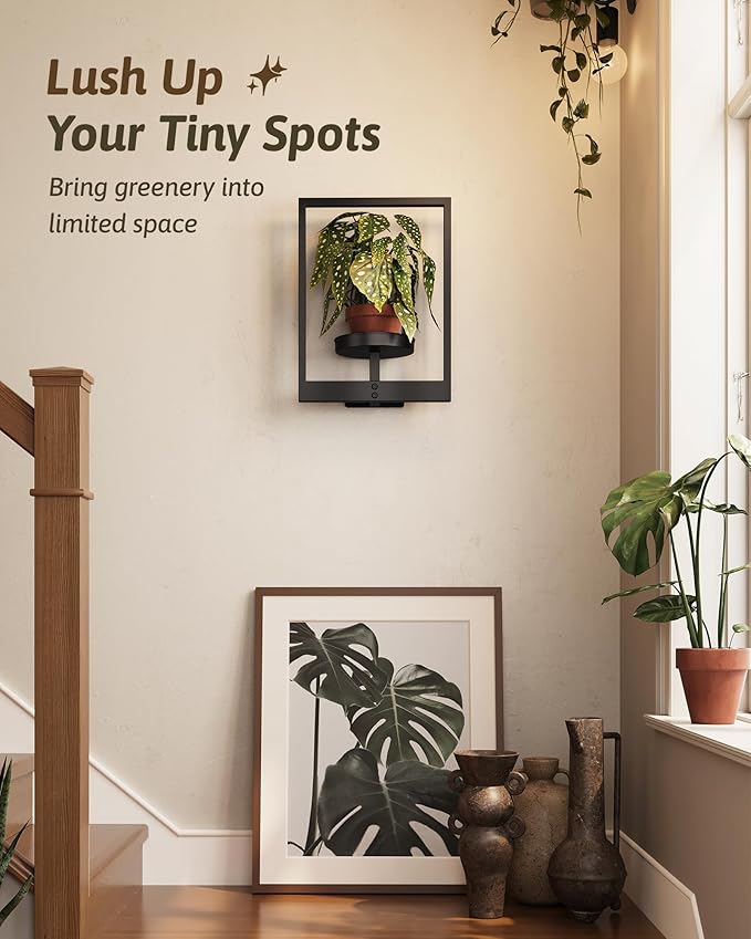 Wall Plant Holder Wall Planters - Image 6