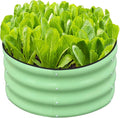 SnugNiture 2x2x1ft Round Galvanized Raised Garden Bed Kit Outdoor, Metal by snugniture