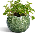 Ceramic Plant Pots by Thirtypot