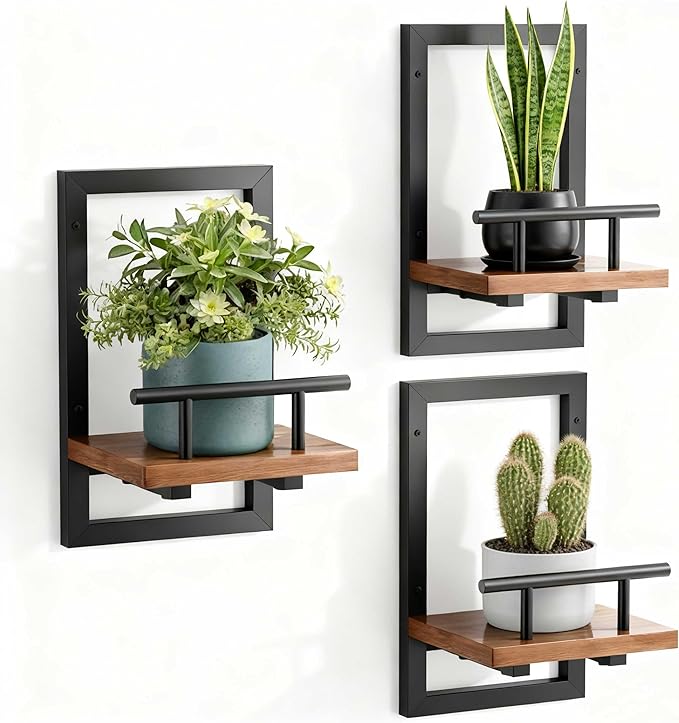 bosbo Floating Shelves for Wall, Plant Shelf Indoor, Wall Planters for Indoor by SBOSBO