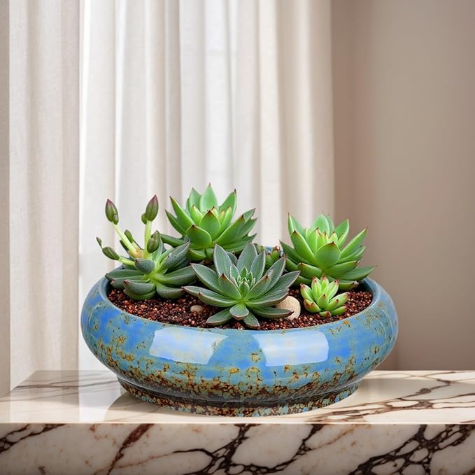 7.3 Inch Succulent Planters Pots Shallow Ceramic Glazed Planter Pots, Lotus - Image 2