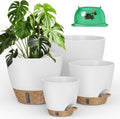 Plant Pots, Modern Planters for Indoor Outdoor Plants, Room & Office Décor by Unknown