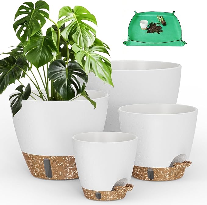 Plant Pots, Modern Planters for Indoor Outdoor Plants, Room & Office Décor by Unknown