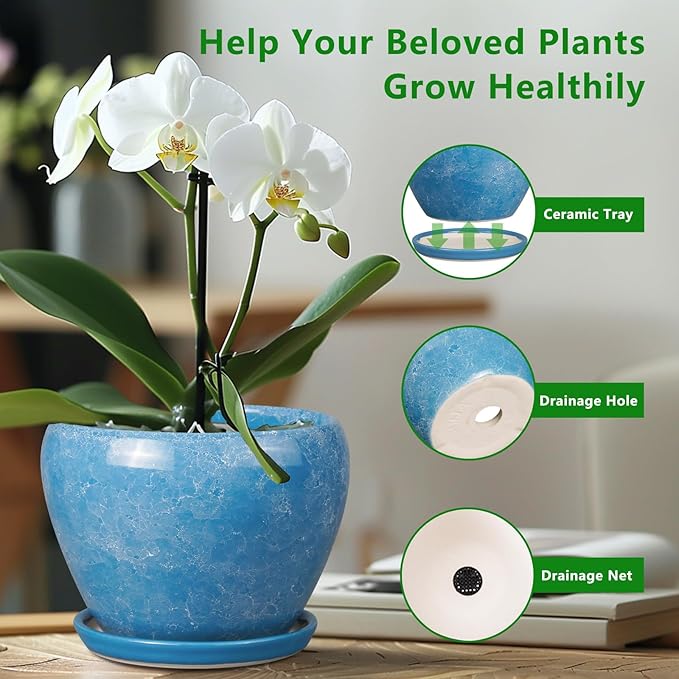 6 Inch Plant Pot - Image 4