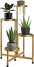 4 Tier 31 Inch Plant Stand Indoor Outdoor, Metal Plant Shelf Waterproof by Unknown
