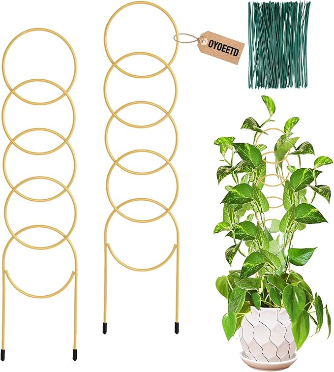 17.5 Inch Indoor Plant Trellis for Climbing Plants, Metal Trellis, Small Garden by OYOEETD