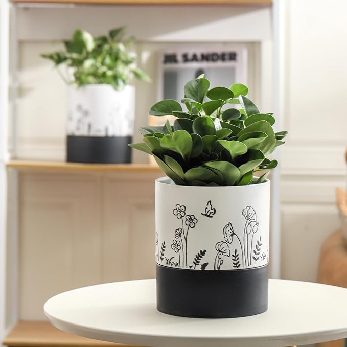 Nihow Self Watering Plant Pot: 6 Inch Ceramic Planter - Image 5