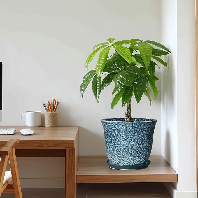 10 Inch Plant Pot - Image 7