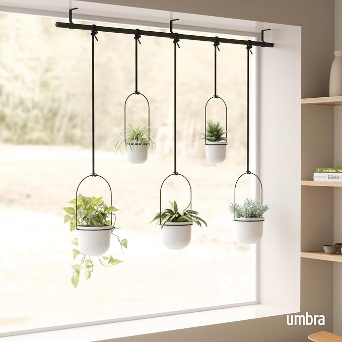 Umbra Triflora Hanging Planter for Window, Indoor Herb Garden - Image 2