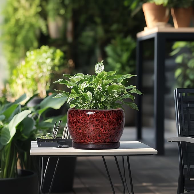 SQOWL Ceramic Plant Pots - Image 5