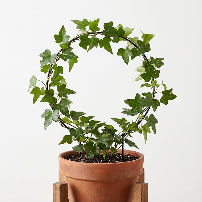 2 Pcs Trellis for Climbing Plants Indoor 14.5" Hoya Trellis Set Small Plant - Image 7