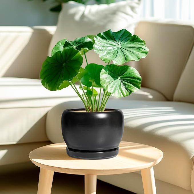 SQOWL Ceramic Plant Pots - Image 2