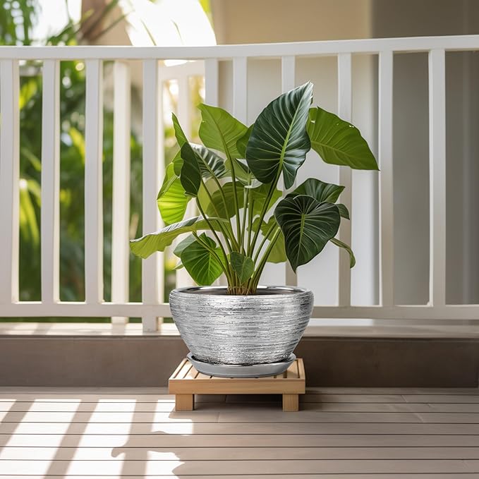 Flower Pot for Indoor Plants - Image 2
