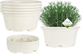 5 Pack 8.5 inch Plant Pot, Outdoor Flower Pots, Plastic pots by KPUVX