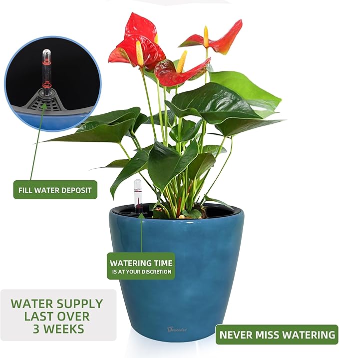 Dexceder 9x8 Inches Self Watering Planter Indoor Outdoor, Inner Pot Design - Image 5