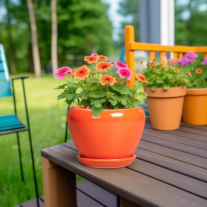 Ceramic Plant Pot 6 Inch - Image 4