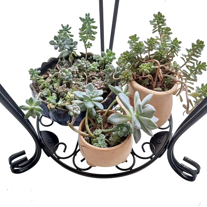 CASIMR 2 Tier Plant Stand, 19.2 inch Tall Metal Potted Holder Rack, Indoor - Image 6