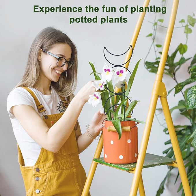 Indoor Plant Trellis for Climbing Plants, 16inch Small Garden Metal Trellis for - Image 5