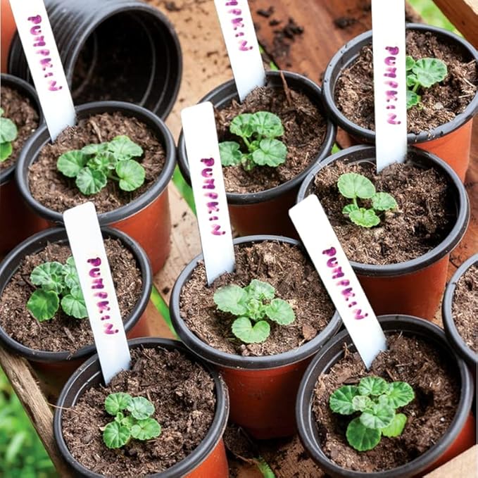 TDHDIKE 4" Small Plastic Plant Pots - Image 7
