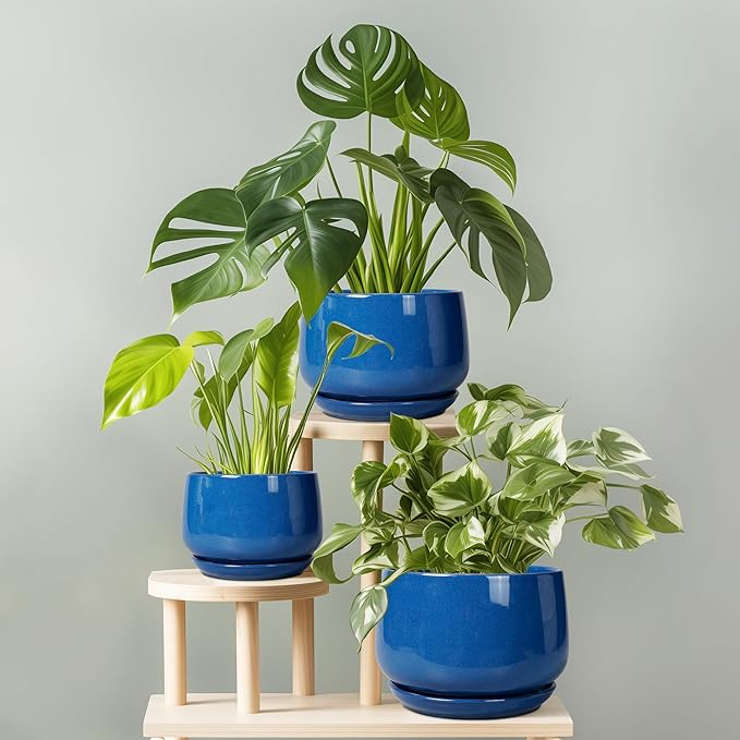 G EPGardening 6 Inch Plant Pot - Image 8