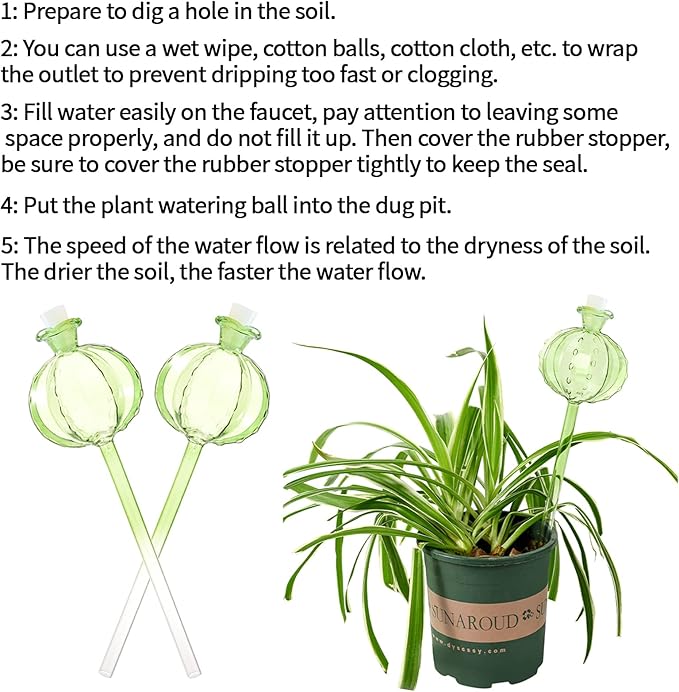 Self Watering Planter Insert. Plant Watering Devices. 3-Pack Cactus Plant - Image 3