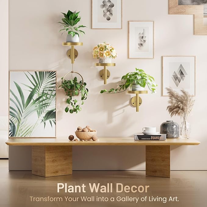 YUOROS 3 Pack Wall Plant Holder Stand Wall Planters - Image 3