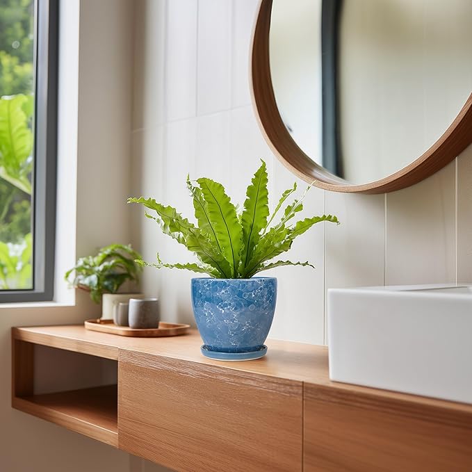 6 Inch Ceramic Plant Pot - Image 7