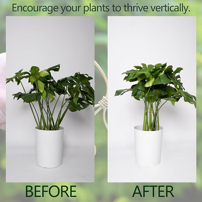 Durable Monstera Plant Support Hooks 5.5in - Image 3