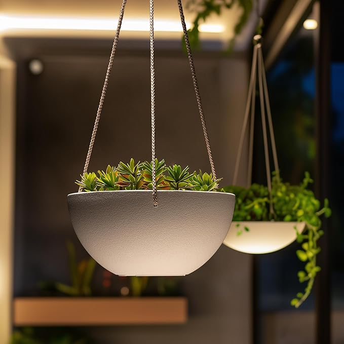 LA Jolie Muse Hanging Planter - Image 8