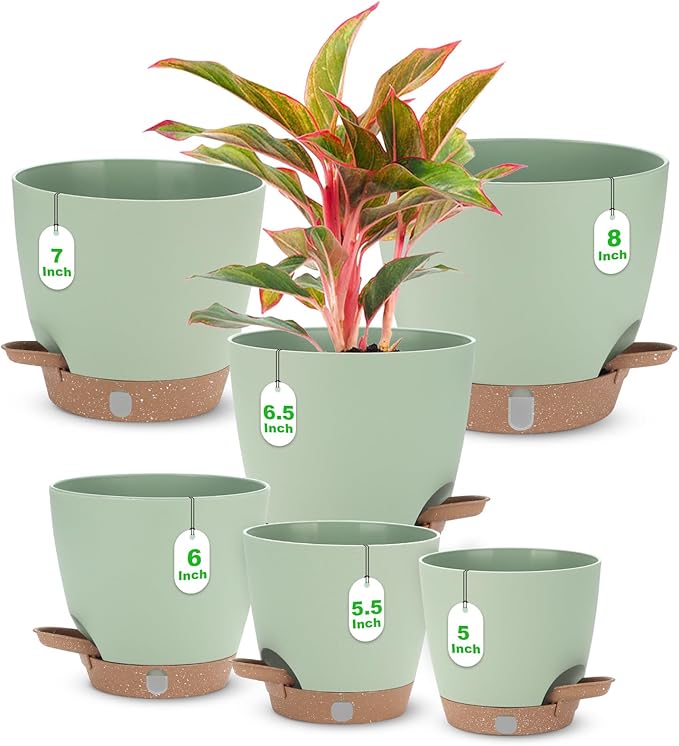 Self Watering Planter Set with Visual Water Level, Modern 8+7+6.5+6+5.5+5 Inch by Ezmixcoop