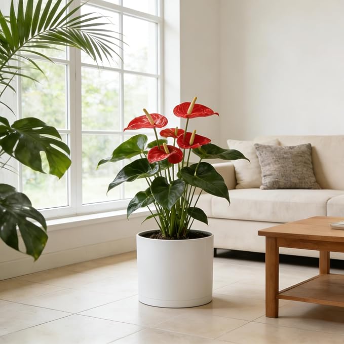 10 Inch Round Plastic Plant Pot - Image 6