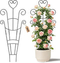 30 Inch Plant Trellis for Climbing Plants Indoor, Outdoor Metal Garden Trellis by OYOEETD