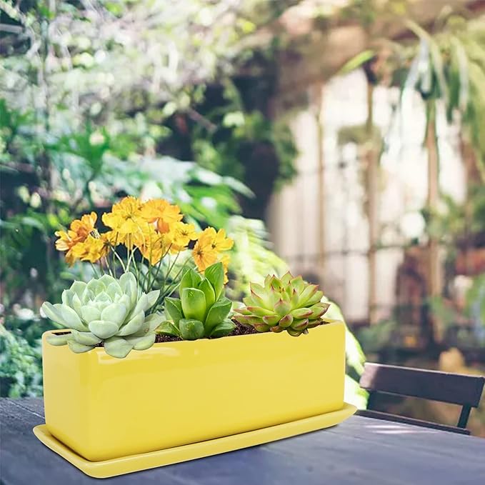Vencer 12 Inch Rectangular Modern Minimalist Ceramic Succulent Planter Pot - Image 7