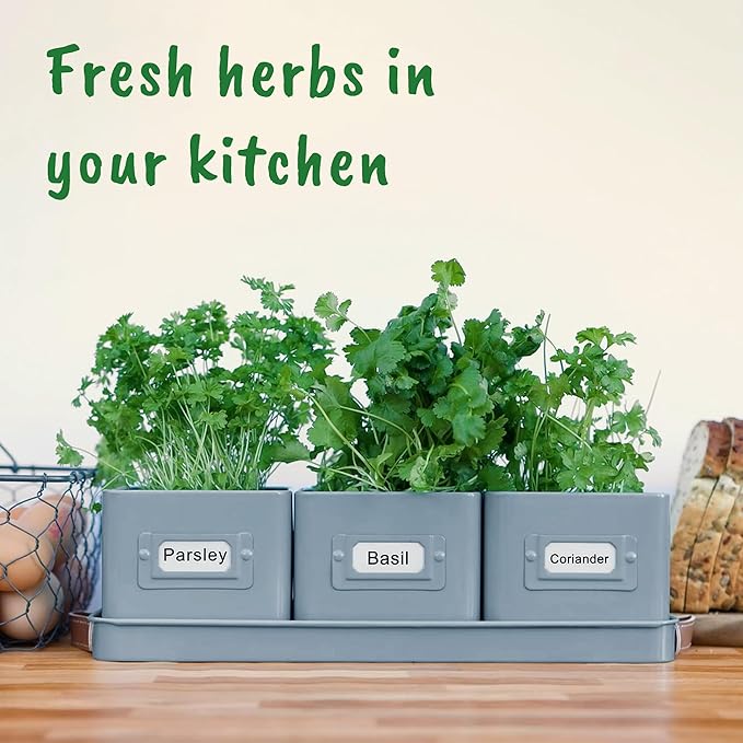 volila Herb Planter Indoor - Image 7