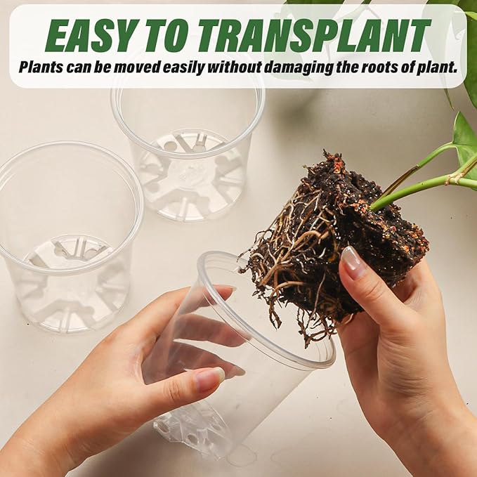 3.5" Clear Seeding Pots 100-Pack Round - Image 5