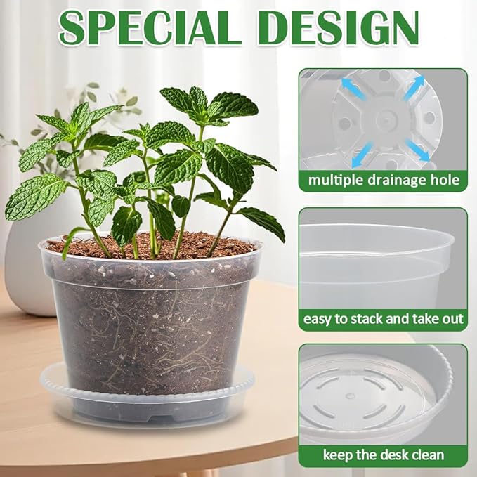 7 Pack 8 Inch Clear Nursery Pots - Image 3