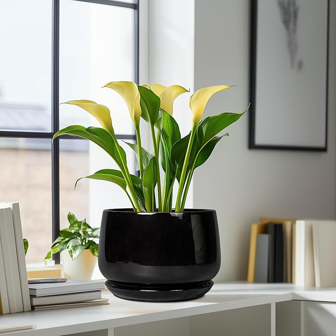 G EPGardening Ceramic Plant Pots - Image 8