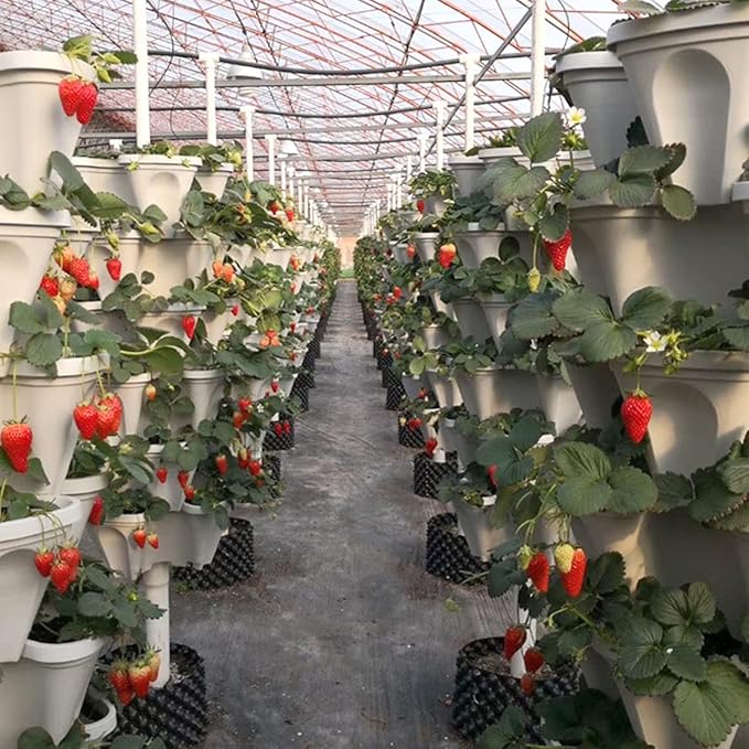 Strawberry Vertical Planters 5 Tiered, Stacking Tower Garden, Stackable Herb - Image 8