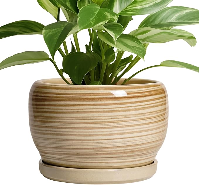 SQOWL Ceramic Planter- 8 Inch Plant Pot Indoor Outdoor, Round Planter by SQOWL