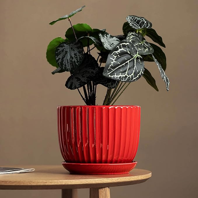 Ton Sin Ceramic Plant Pots - Image 2