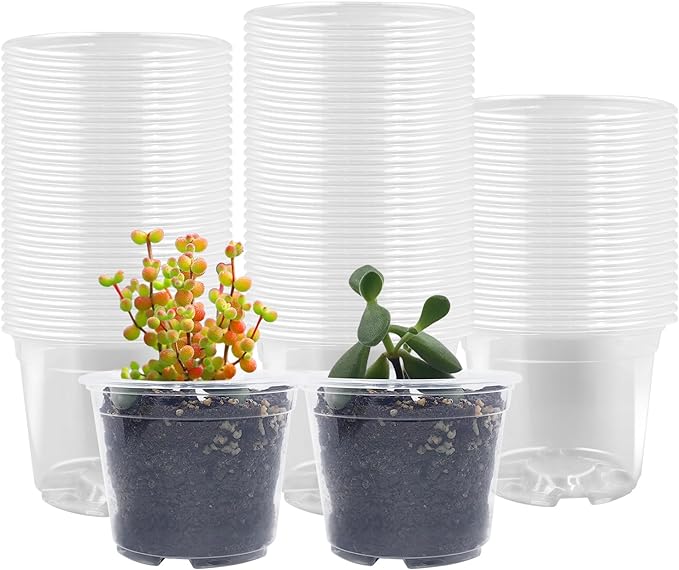 100 Pack 2.8 Inches Clear Plant Pots by RooTrimmer
