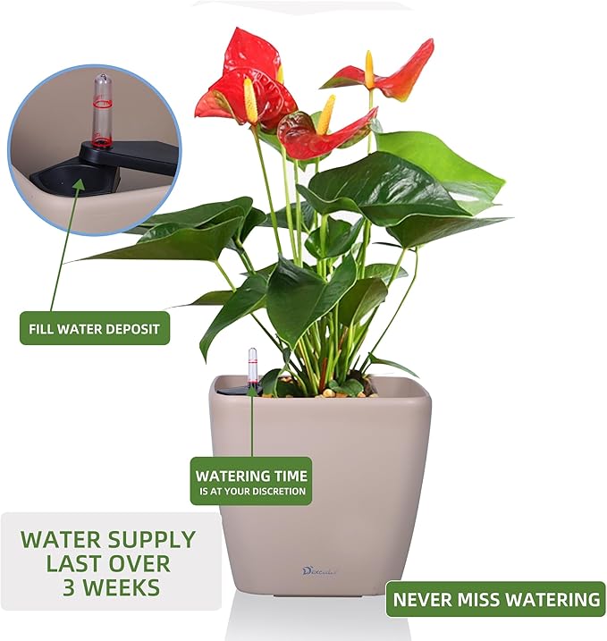 Dexceder 11x10 Self Watering Planter Indoor Outdoor, Inner Mat Design, - Image 5