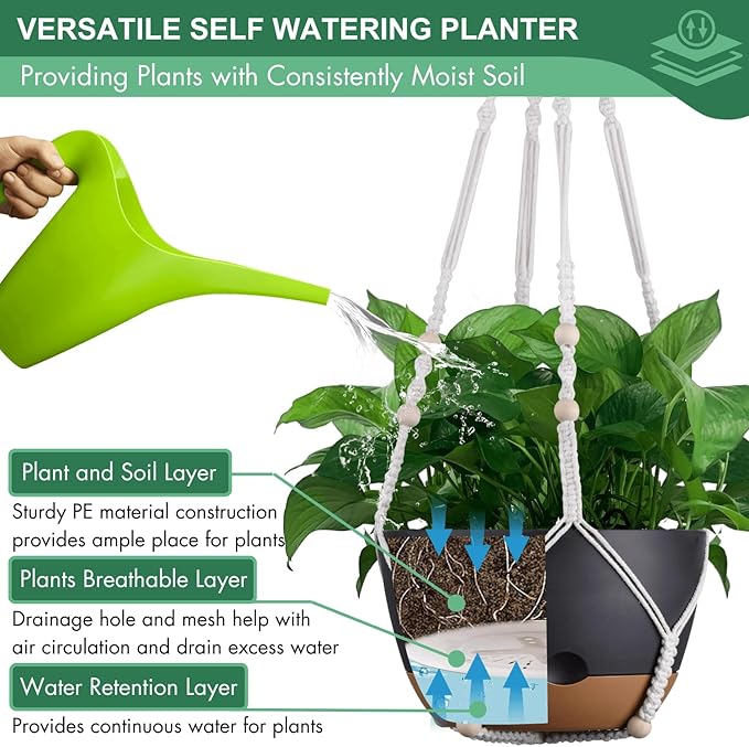 montresor Set of 2-8 Inch Hanging Planters - Image 6