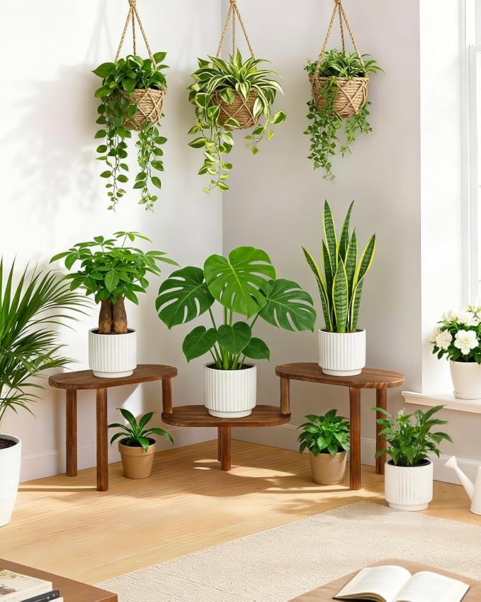 Concave Plant Shelf Indoor, 3 Tiers Deformable Oval Plant Stand, Heavy Duty - Image 6