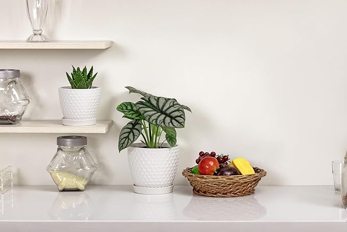 Docrin Ceramic Plant Pots Set of 2, High-Fired Clay Indoor Planters - Image 6