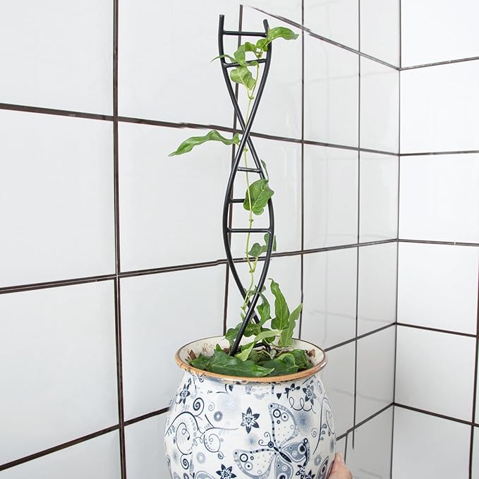 DNA Spiral Plant Trellis Indoor - Image 7