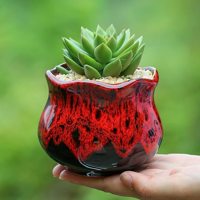 Cute Ceramic Succulent Planters, Garden Pots - Image 5
