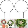 2 Pack Round Plant Trellis for Indoor Potted Plants, Acrylic Small Trellis for by Tyqour