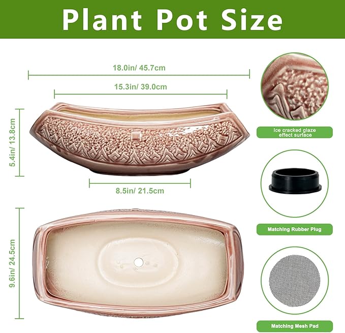 Large Bonsai Pots - Image 2